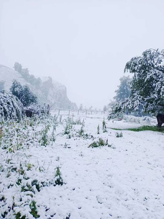 你关心的独库公路!因雨雪天气影响全线暂时封闭 - 网