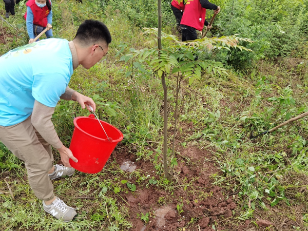 践行“两山”理论 进出口银行四川省分行组织新员工参与植树活动