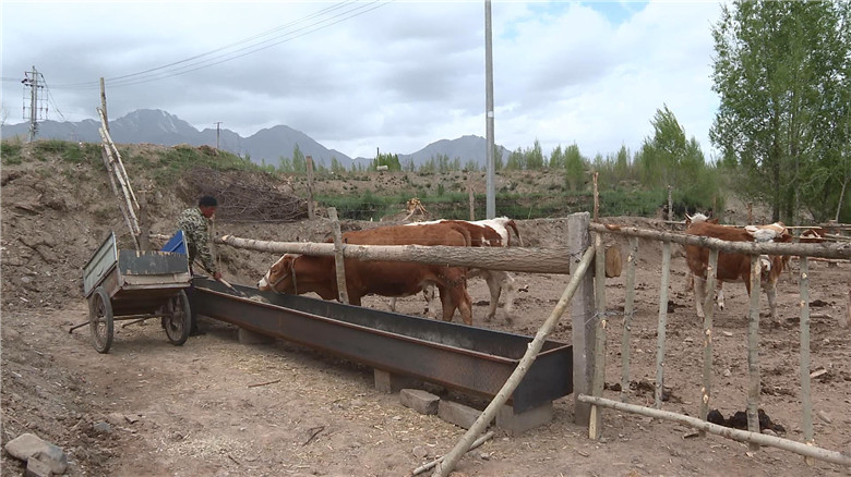 栋圈舍,走上了标准化养殖的路子.