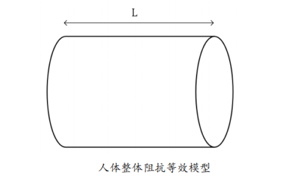 體脂秤是怎么測出體脂的?是智商稅嗎?