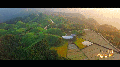 农业现代化 “黔景”无限好——乡村振兴看贵州-时政新闻-浙江在线